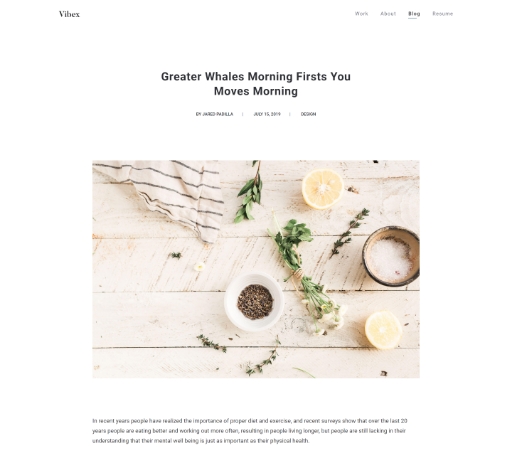 portfolio